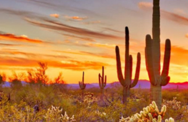 Arizona Adventure Guides