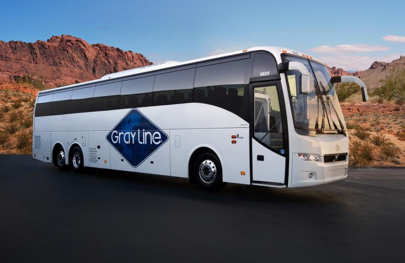 Gray Line Las Vegas